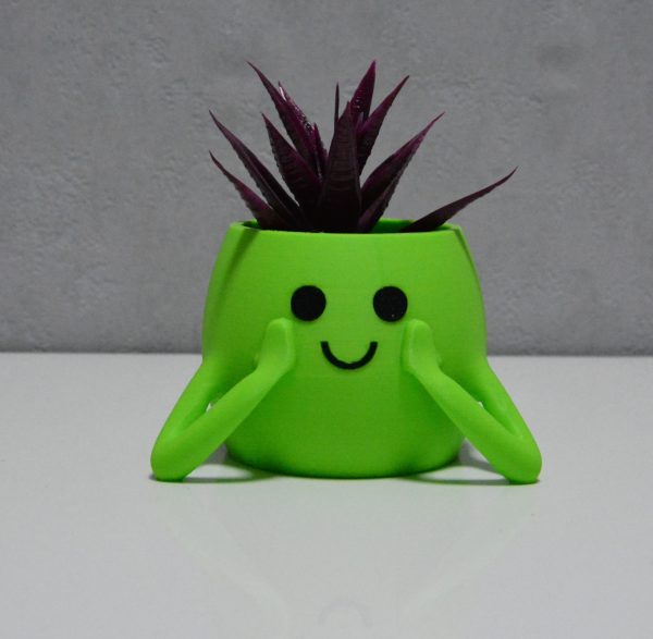 3D Neşeli Mini Saksı- Açık Yeşil