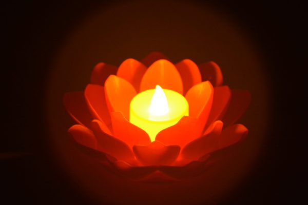 Lotus Çiçekli Lamba - Kırmızı