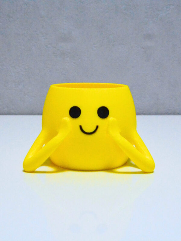3D Neşeli Mini Saksı- Sarı