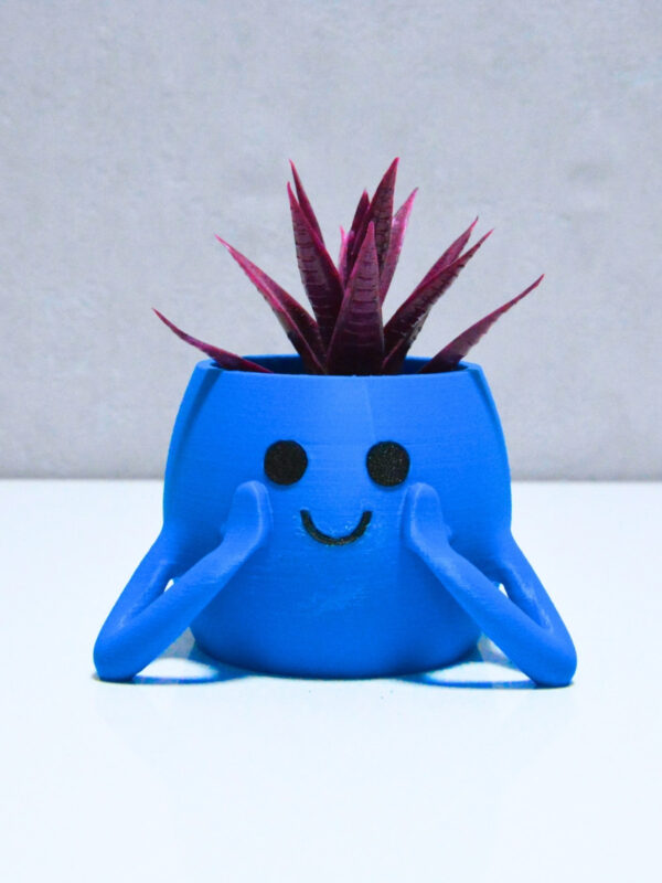 3d Neşeli Mini Saksı Mavi