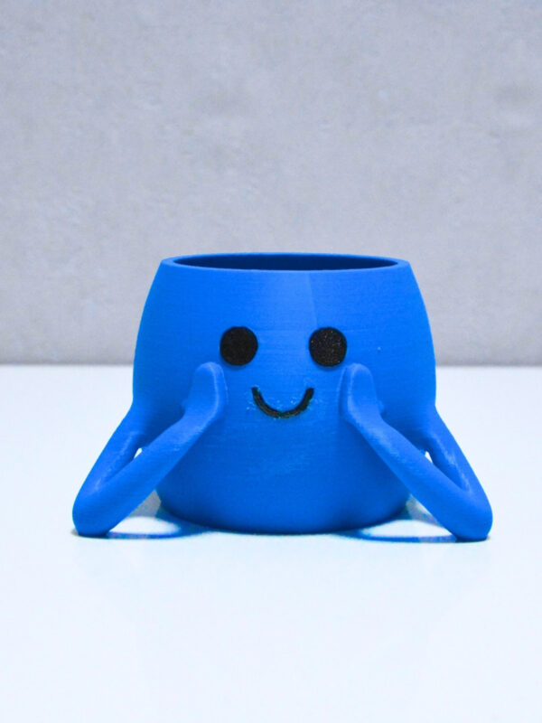 3d Neşeli Mini Saksı Mavi
