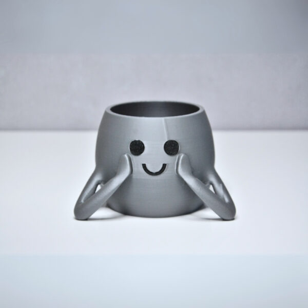 3D Neşeli Mini Saksı - Gümüş
