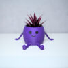 3D Oturan Mini Saksı - Mor