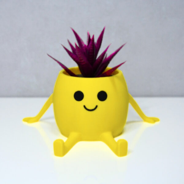 3D Oturan Mini Saksı - Sarı